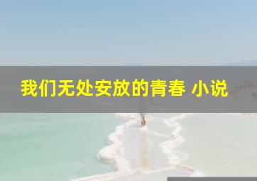 我们无处安放的青春 小说