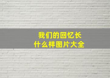 我们的回忆长什么样图片大全