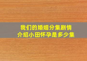 我们的婚姻分集剧情介绍小田怀孕是多少集