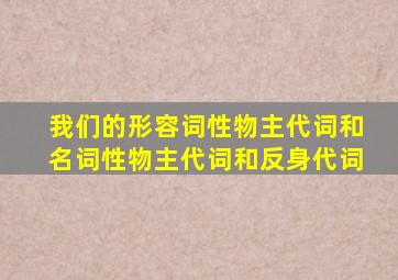 我们的形容词性物主代词和名词性物主代词和反身代词