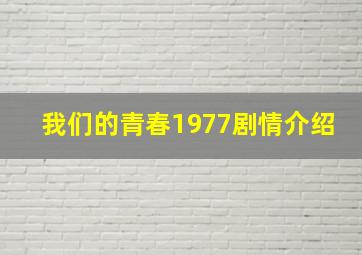 我们的青春1977剧情介绍