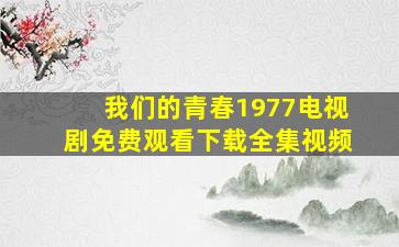 我们的青春1977电视剧免费观看下载全集视频