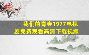 我们的青春1977电视剧免费观看高清下载视频