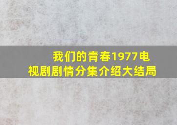 我们的青春1977电视剧剧情分集介绍大结局