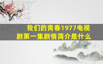 我们的青春1977电视剧第一集剧情简介是什么