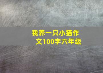 我养一只小猫作文100字六年级