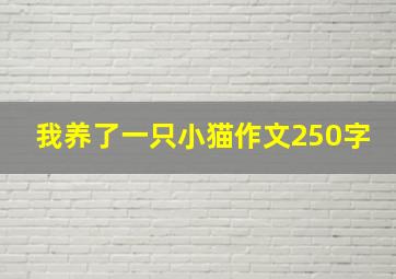 我养了一只小猫作文250字