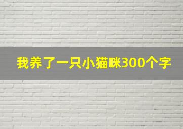 我养了一只小猫咪300个字