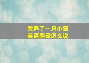 我养了一只小猫英语翻译怎么说