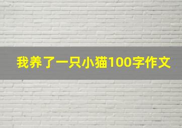 我养了一只小猫100字作文