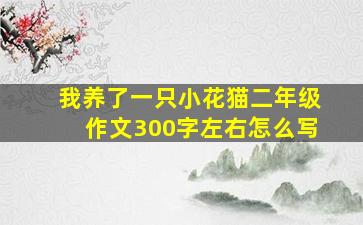 我养了一只小花猫二年级作文300字左右怎么写