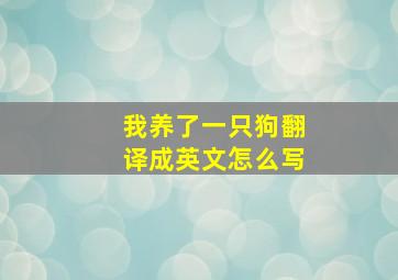 我养了一只狗翻译成英文怎么写