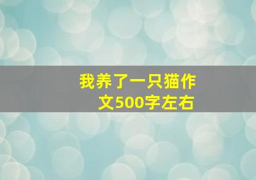 我养了一只猫作文500字左右