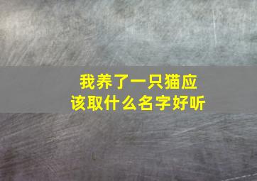 我养了一只猫应该取什么名字好听