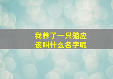 我养了一只猫应该叫什么名字呢