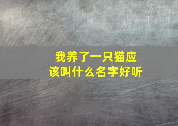 我养了一只猫应该叫什么名字好听