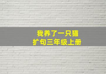 我养了一只猫扩句三年级上册