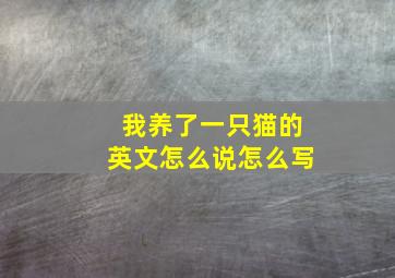 我养了一只猫的英文怎么说怎么写