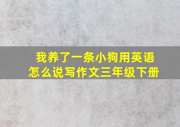 我养了一条小狗用英语怎么说写作文三年级下册