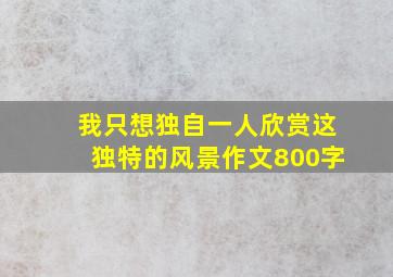 我只想独自一人欣赏这独特的风景作文800字