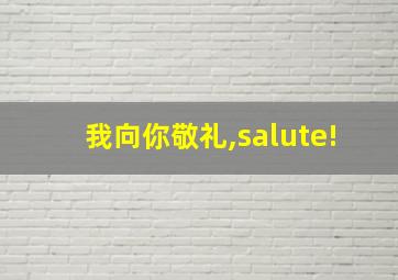 我向你敬礼,salute!