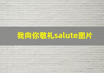 我向你敬礼salute图片