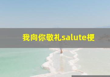 我向你敬礼salute梗