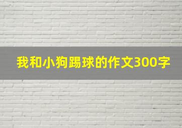 我和小狗踢球的作文300字