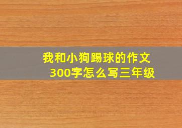 我和小狗踢球的作文300字怎么写三年级