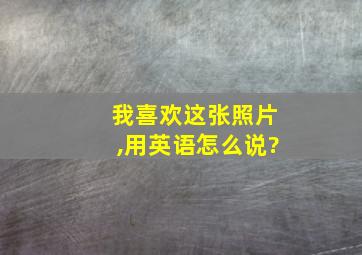 我喜欢这张照片,用英语怎么说?