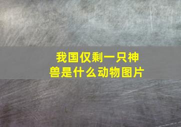 我国仅剩一只神兽是什么动物图片