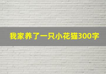 我家养了一只小花猫300字