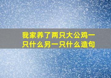 我家养了两只大公鸡一只什么另一只什么造句