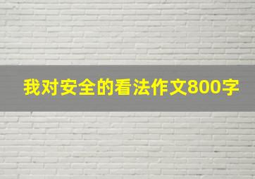 我对安全的看法作文800字