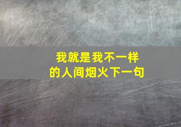 我就是我不一样的人间烟火下一句