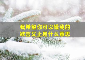 我希望你可以懂我的欲言又止是什么意思