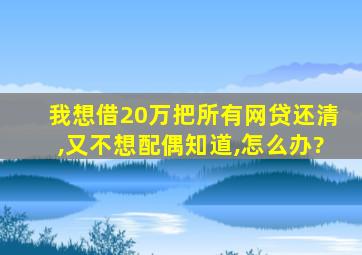 我想借20万把所有网贷还清,又不想配偶知道,怎么办?