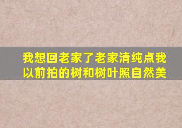 我想回老家了老家清纯点我以前拍的树和树叶照自然美