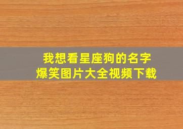 我想看星座狗的名字爆笑图片大全视频下载