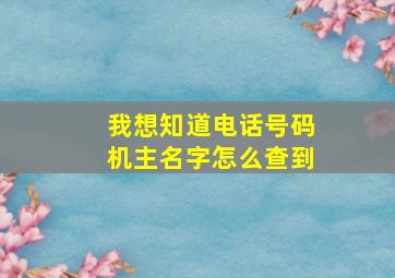 我想知道电话号码机主名字怎么查到