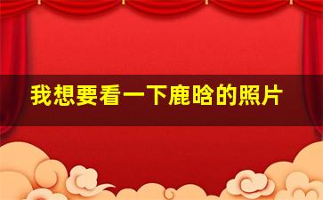 我想要看一下鹿晗的照片