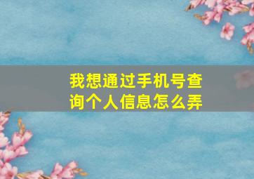 我想通过手机号查询个人信息怎么弄