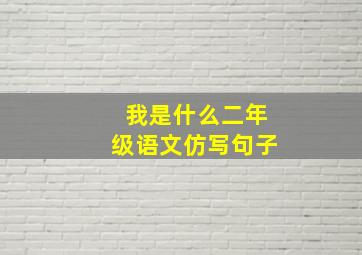 我是什么二年级语文仿写句子