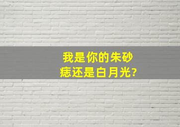 我是你的朱砂痣还是白月光?