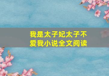 我是太子妃太子不爱我小说全文阅读