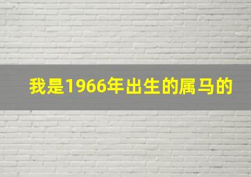 我是1966年出生的属马的