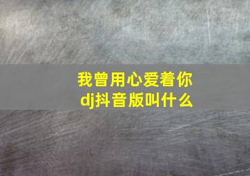 我曾用心爱着你dj抖音版叫什么