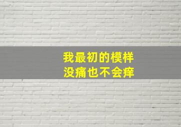 我最初的模样 没痛也不会痒