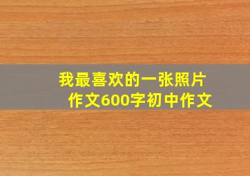 我最喜欢的一张照片作文600字初中作文