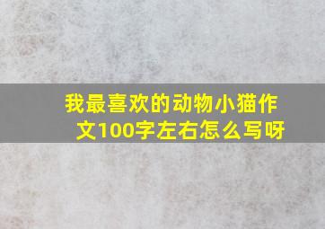 我最喜欢的动物小猫作文100字左右怎么写呀